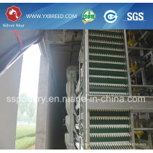 Top Quality Full Automatic Poultry Equipment for Poultry Farming